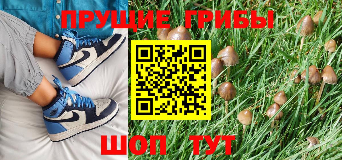 Псилоцибиновые грибы Magic Shrooms Старая Русса