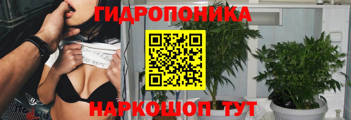 Бошки Шишки  Cocaine  ГАШ  Старая Русса  Мефедрон кристаллы  МЕФ  Вход с VPN 